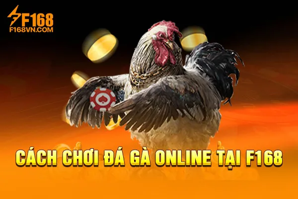 Cách chơi đá gà online tại F168. Cách chơi đá gà online tại F168.