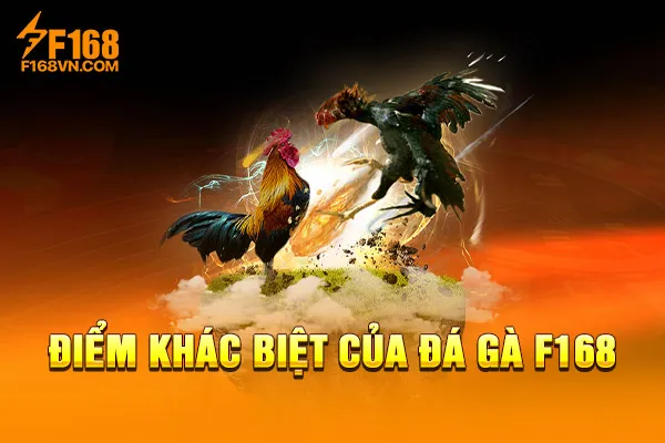 Điểm khác biệt của đá gà F168 Điểm khác biệt của đá gà F168