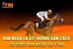 Đua ngựa Là Gì? Hướng Dẫn Cách Cá Cược Đua Ngựa Tại F168