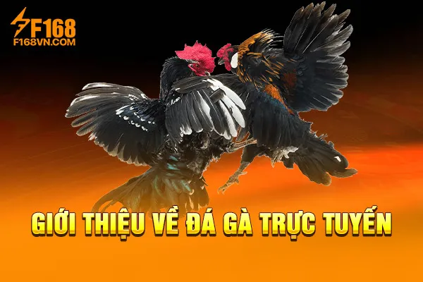 Giới thiệu về đá gà trực tuyến