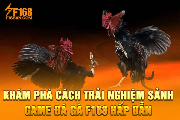 Khám Phá Cách Trải Nghiệm Sảnh Game Đá Gà F168 Hấp Dẫn Khám Phá Cách Trải Nghiệm Sảnh Game Đá Gà F168 Hấp Dẫn