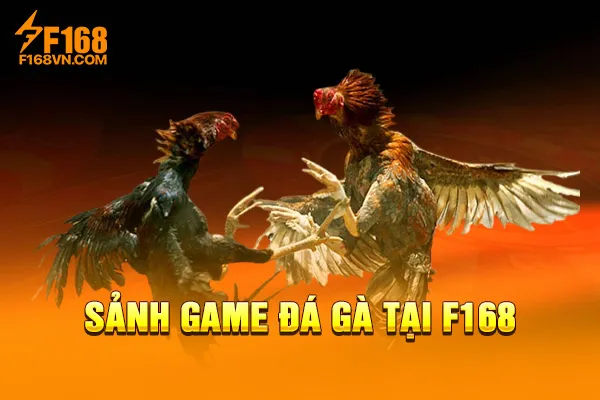 Sảnh game đá gà tại F168 Sảnh game đá gà tại F168