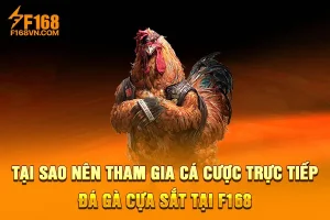 Tại Sao Nên Tham Gia Cá Cược Trực Tiếp Đá Gà Cựa Sắt Tại F168